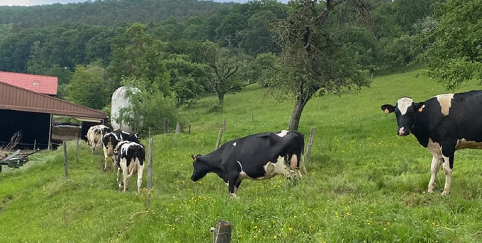 Les Délices de la Ferme