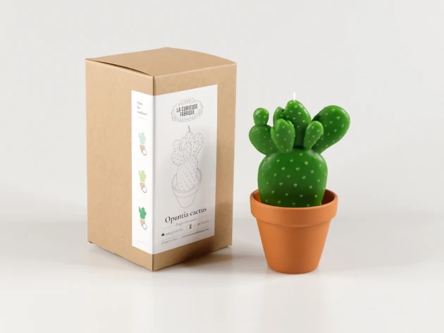 Bougie moulée artisanale - Opuntia Cactus dans son pot en terre cuite